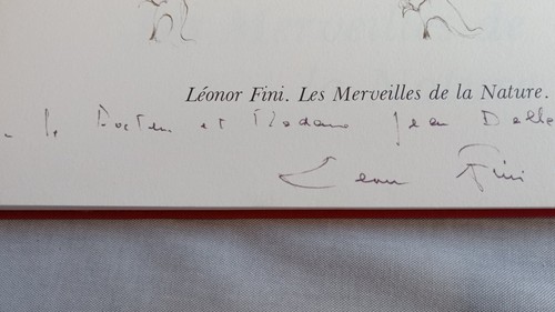 Les merveilles nature - merveilles, la